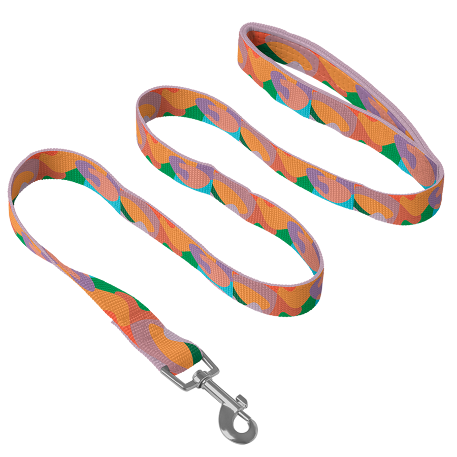 RPET Loop Handle Pet Leash with Snap Carabiner