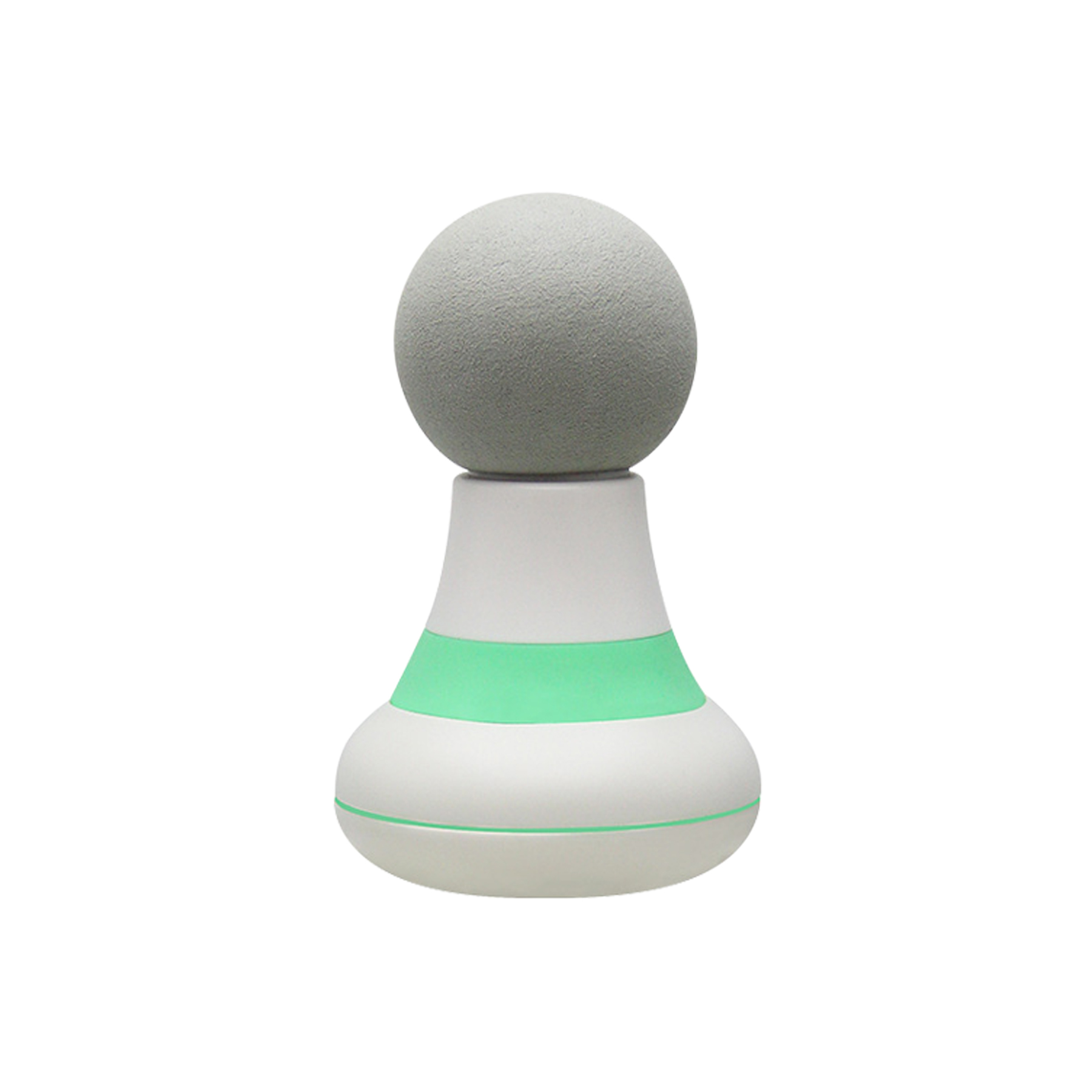 Nature Handheld Massager 5