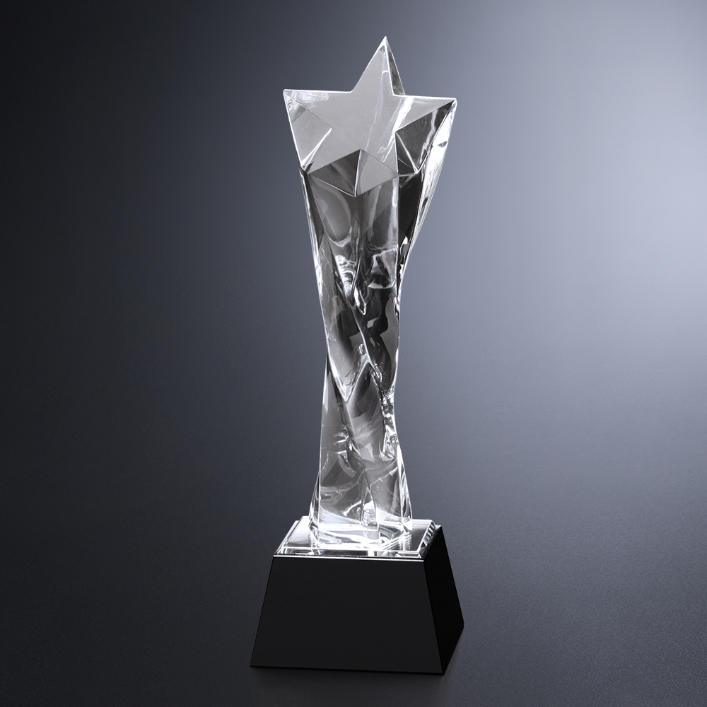 Twisted Star Award 13