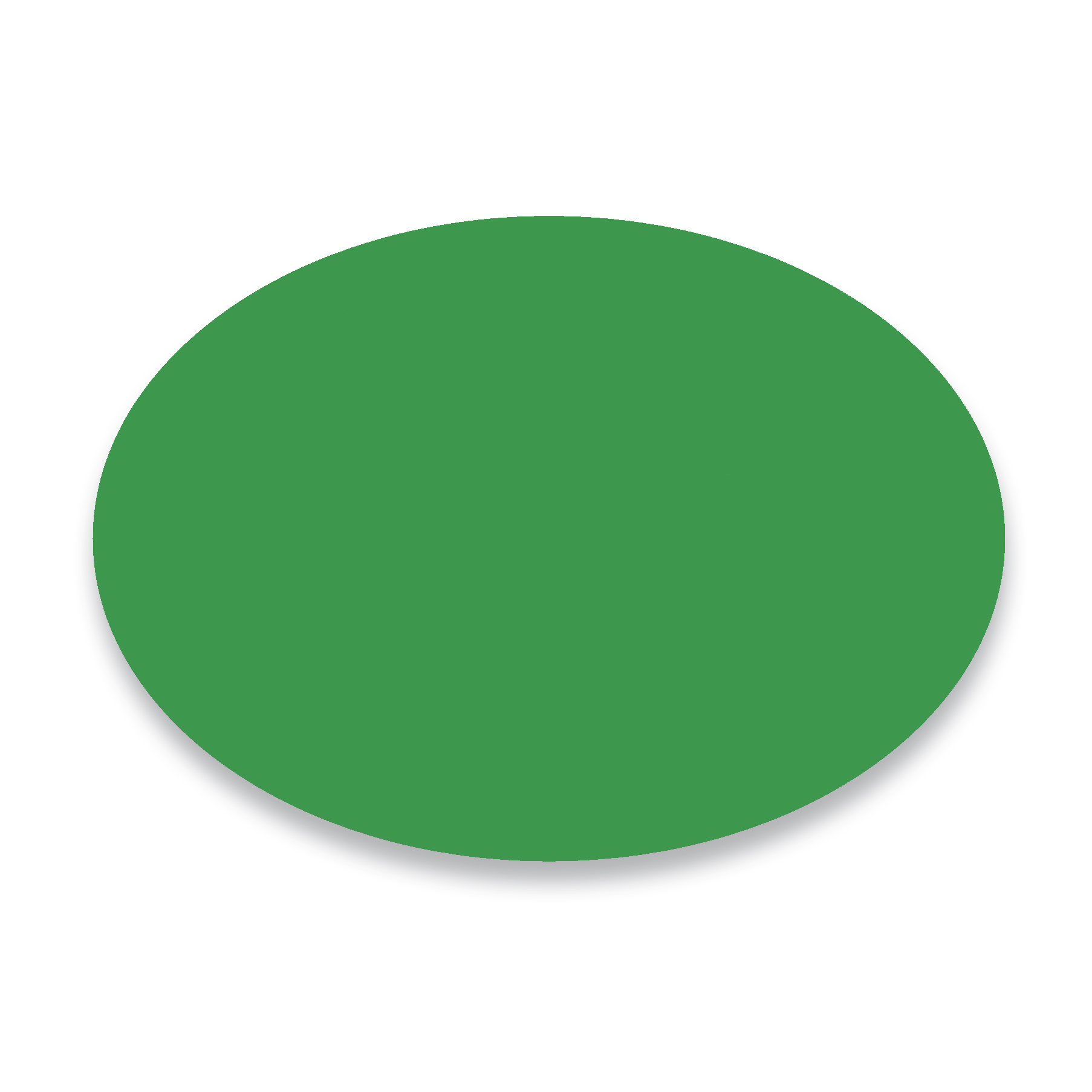 Silicone Coasters 5