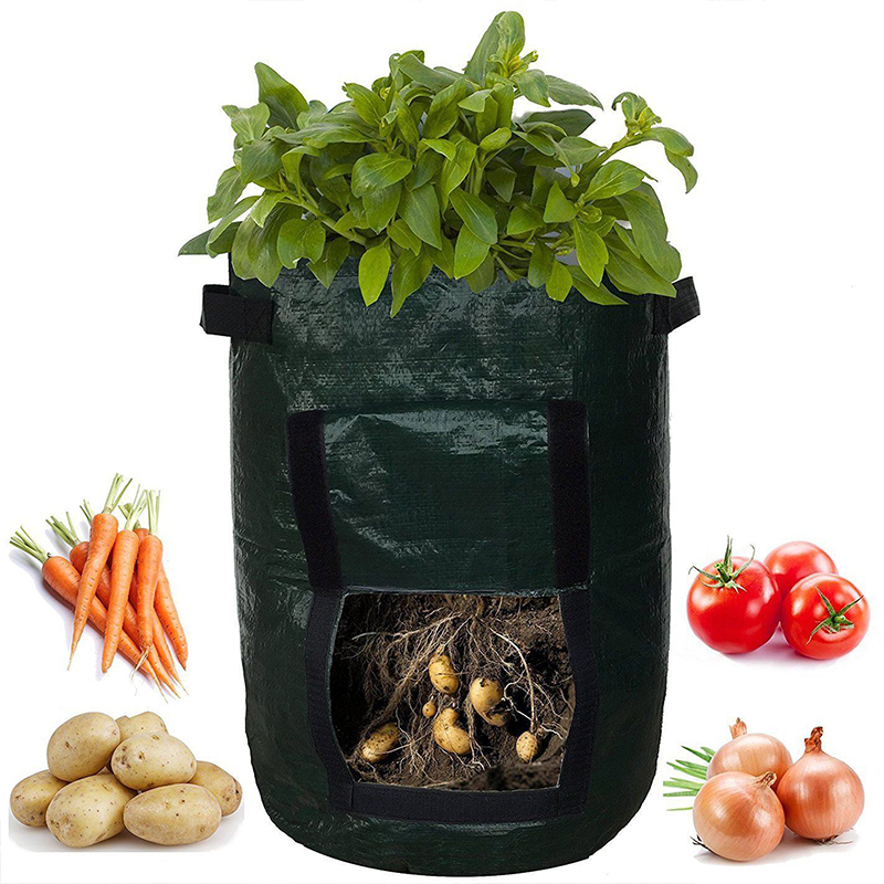 Potato Grow Bag 2