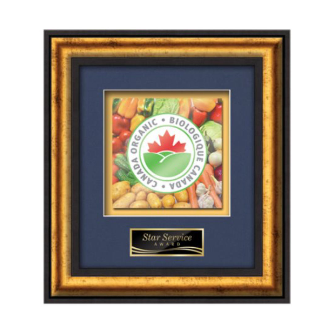 Grazia - Black/Gold 4