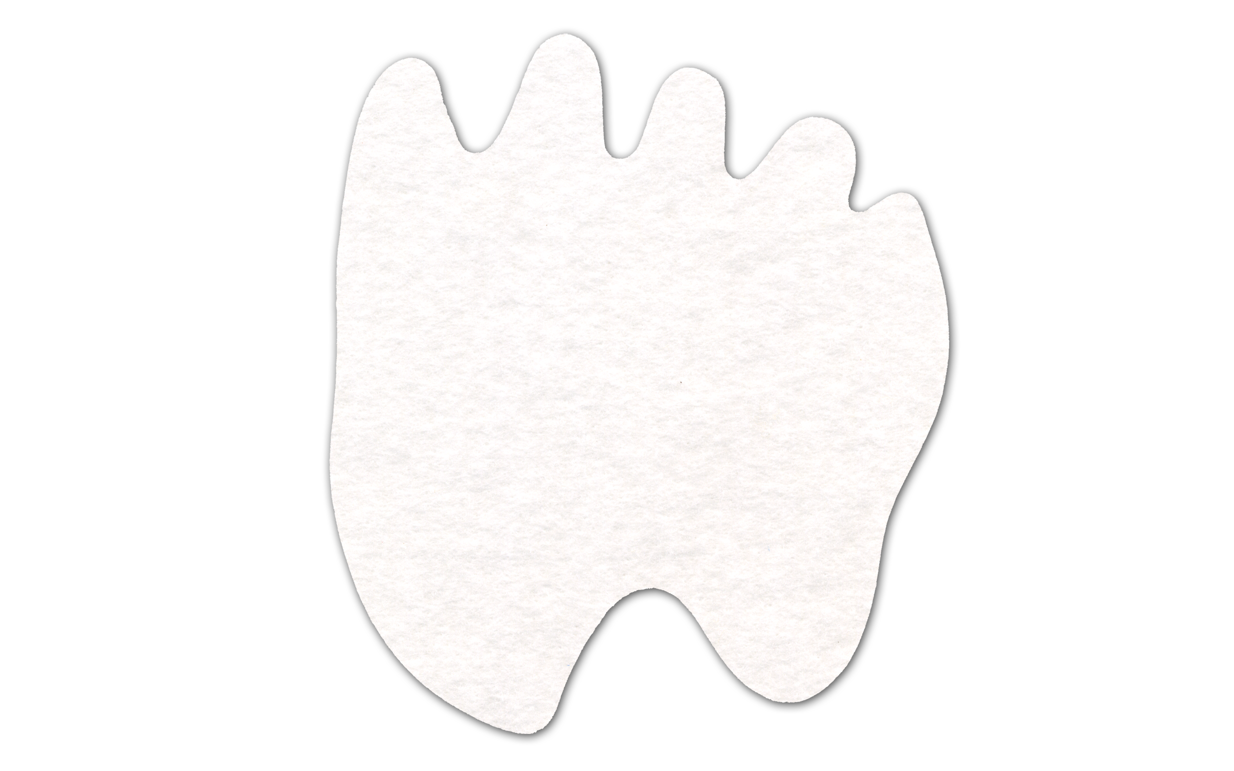 Paw Shammy Coaster 3