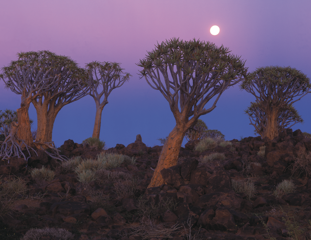 Triumph® Calendars World Scenic Calendar 17