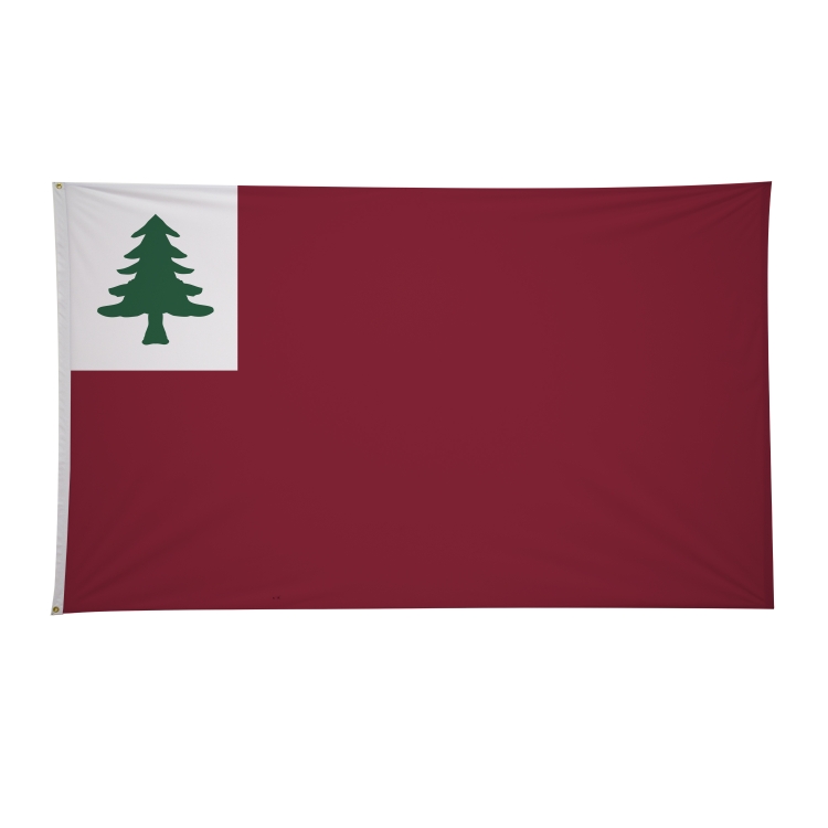 6' x 10' Historical Flags 48