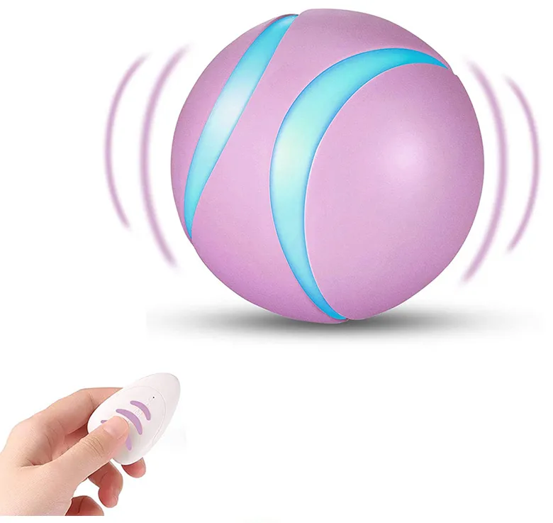 Remote Pet Ball 4