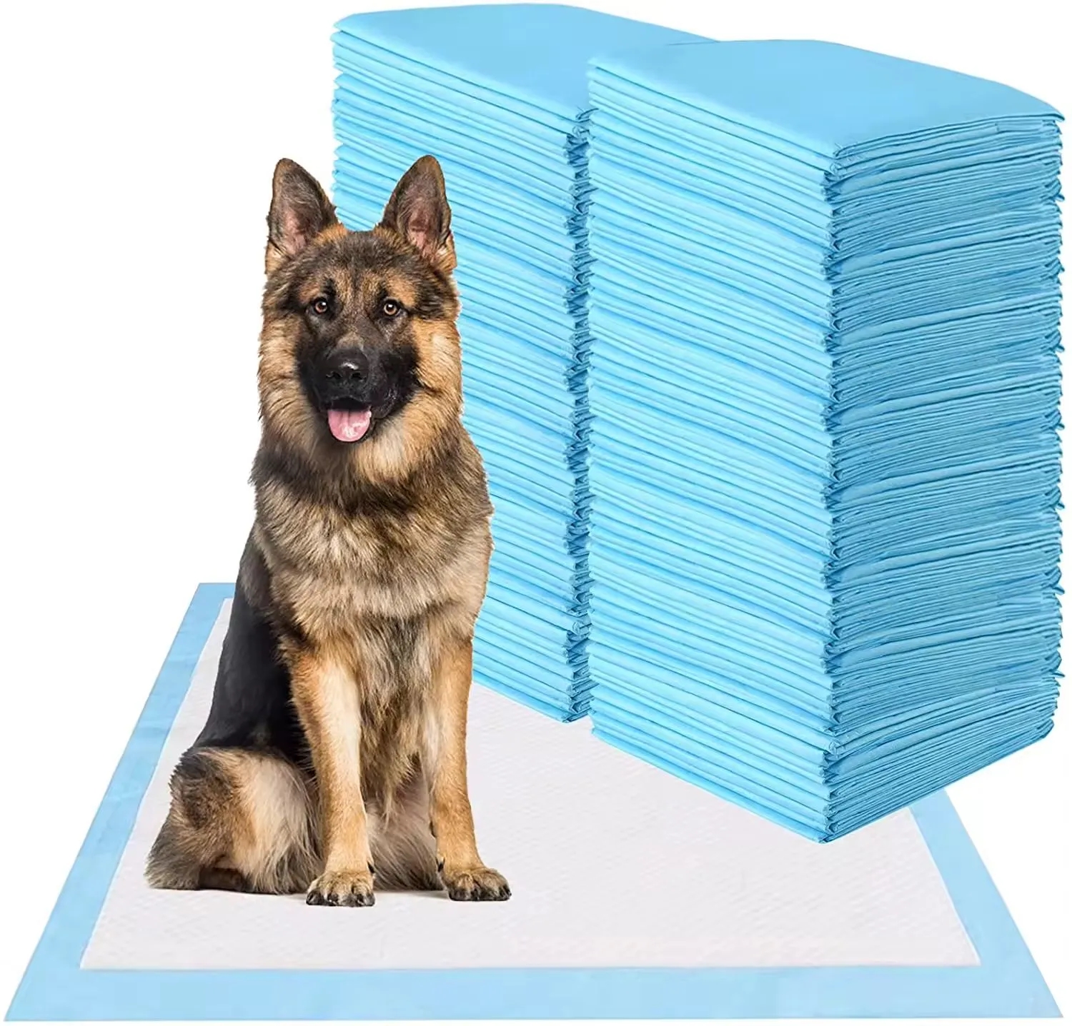 Dog and Puppy Pee Pads 2