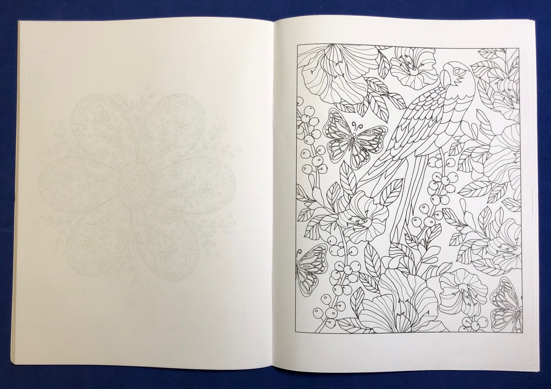 ADULT COLORING BOOK - Nature Stress Relieving Coloring Book for Adults 4