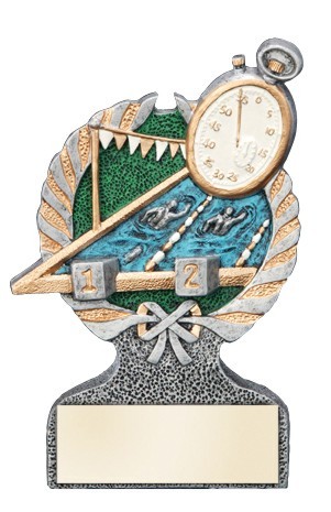 Swimming Centurion Full Color Award 2