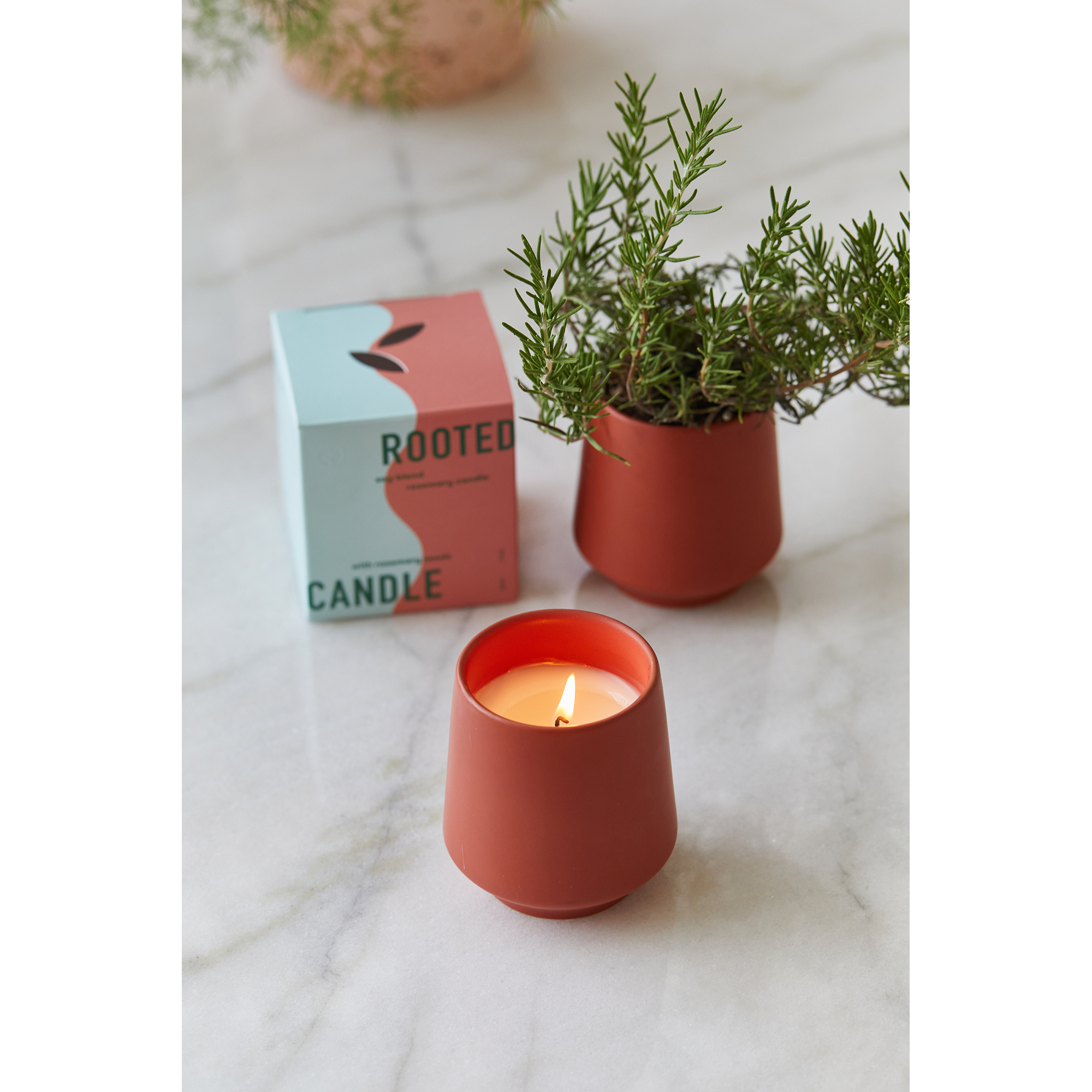 Modern Sprout® Rooted Candle 3