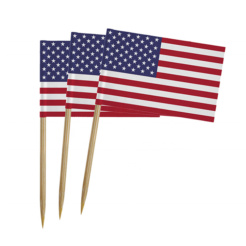 Qatar World Cup Customized Toothpick Flag 4
