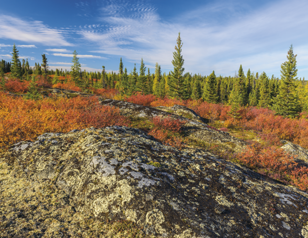 Good Value™ Scenic Canada - Window Calendar 24