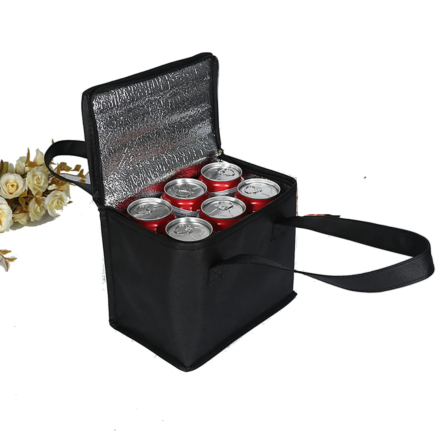 OXford Insulated Cooler Bag 6
