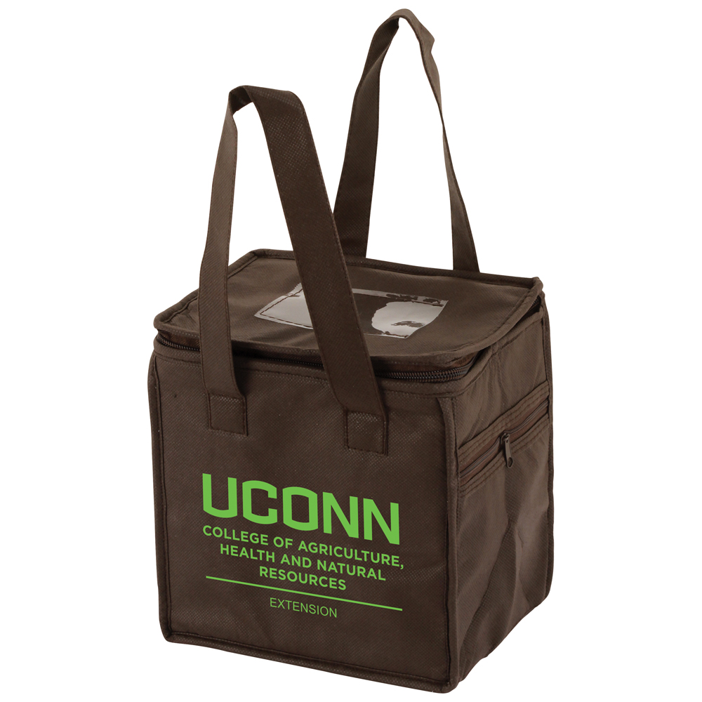 Lunch Tote 15