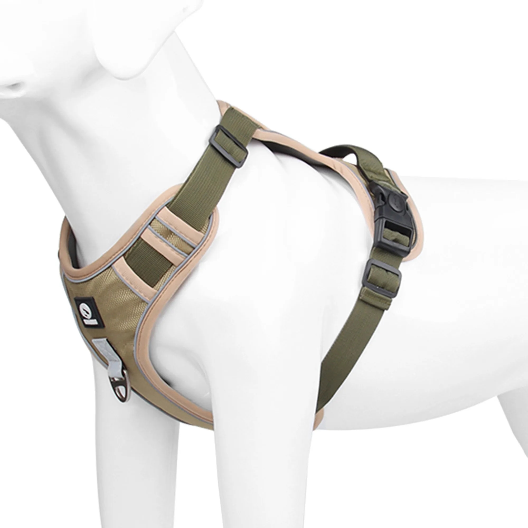 Dog Leash 6