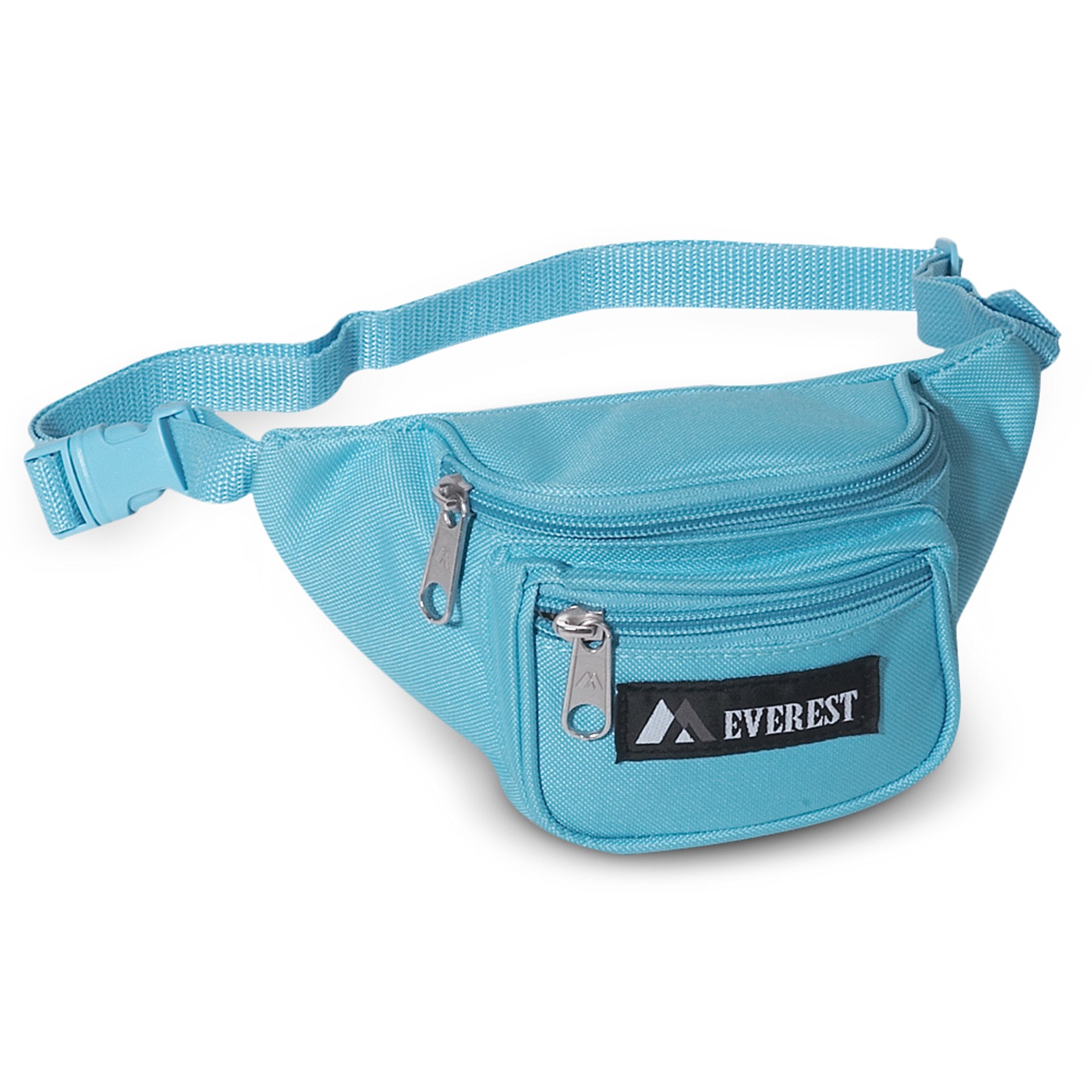 Fanny Pack 1