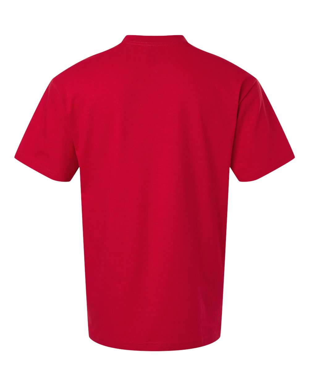 Unisex Hammer™ Maxweight T-Shirt - 75000 9