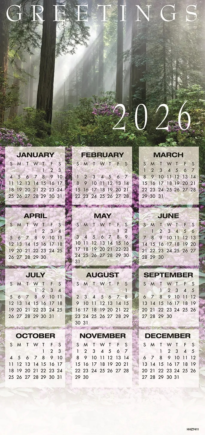 Great Beauty Calendar Cards 3