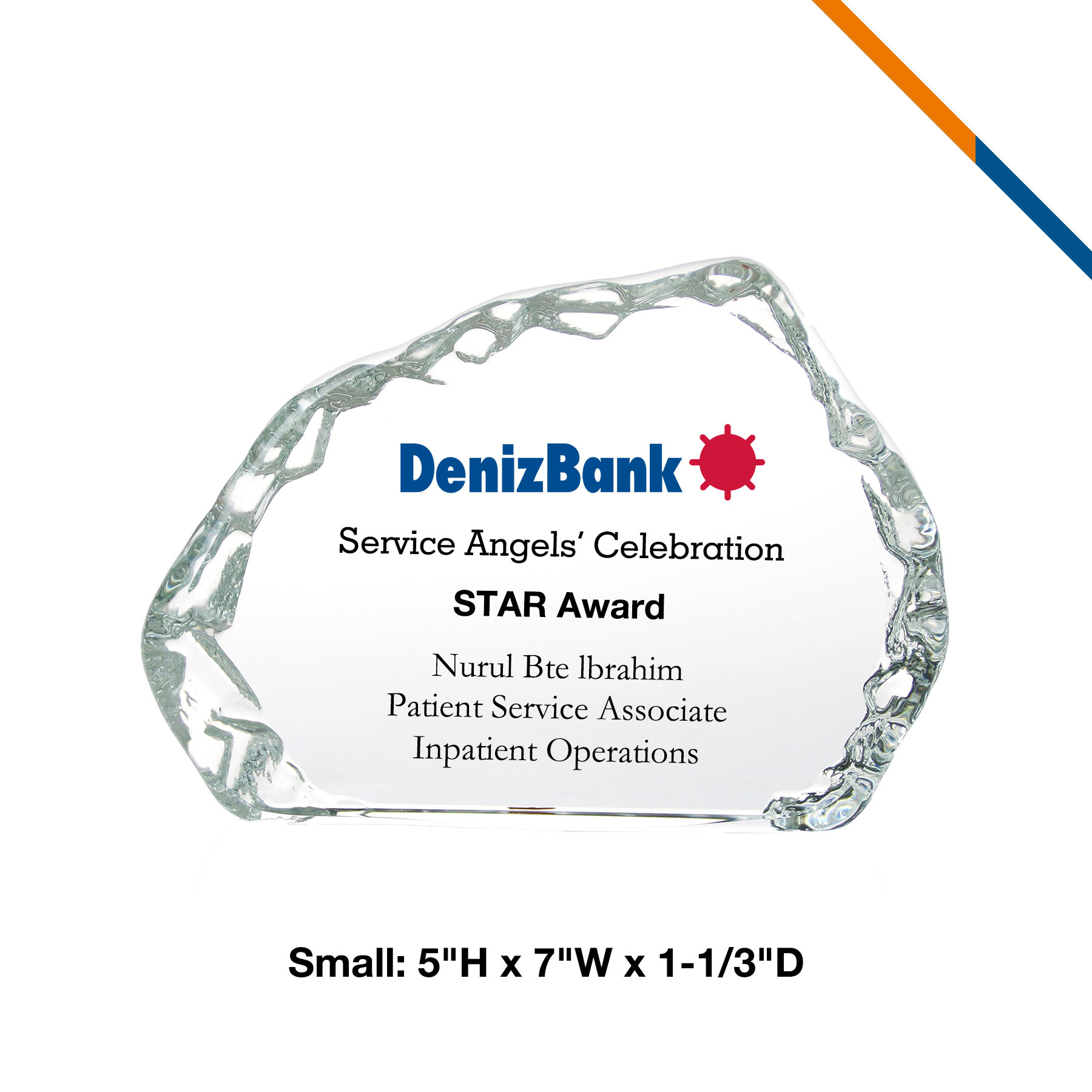 Daryl Crystal Award 5