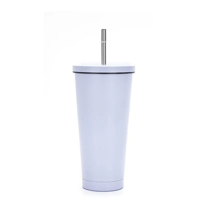 Stainless Steel Straw Thermos Cup 9