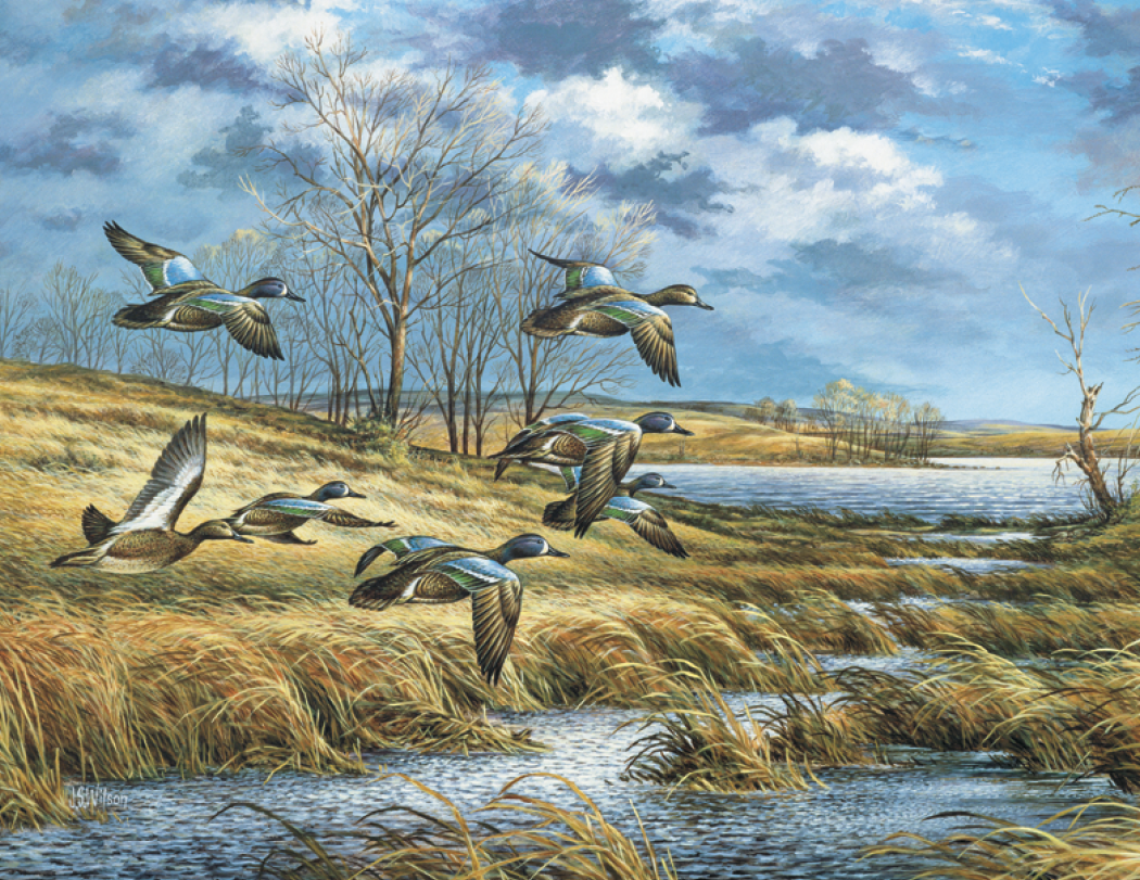 Triumph® Calendars Wildlife Art Calendar 38