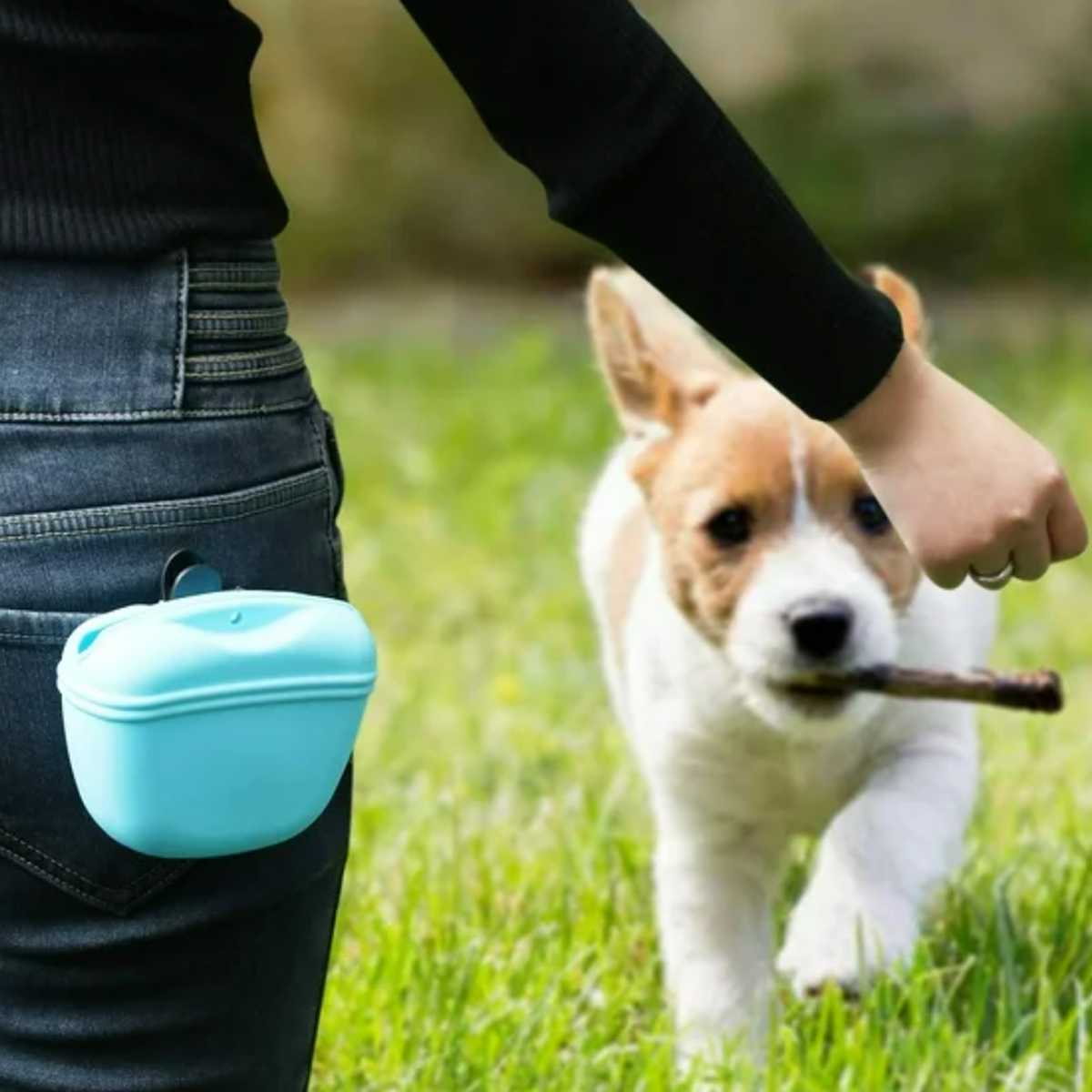 Silicone Pet Training Pouch for Dog Treats Waist Bag 5