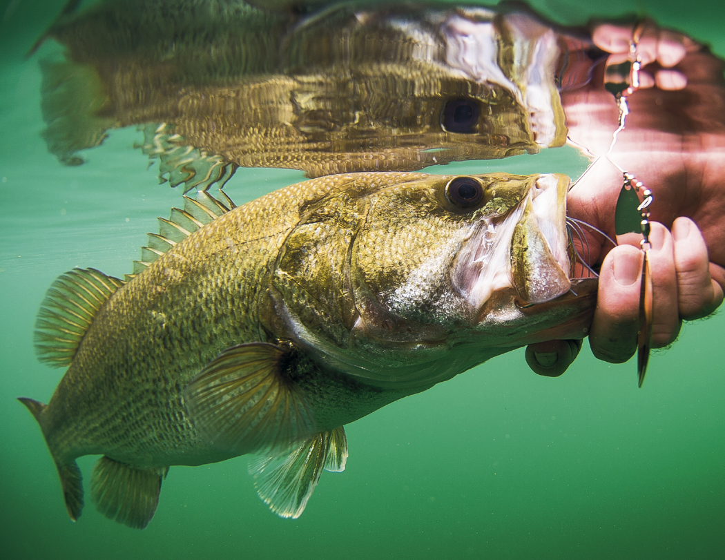HotLine® Products Fishing Guide Appointment Calendar - Stapled 27