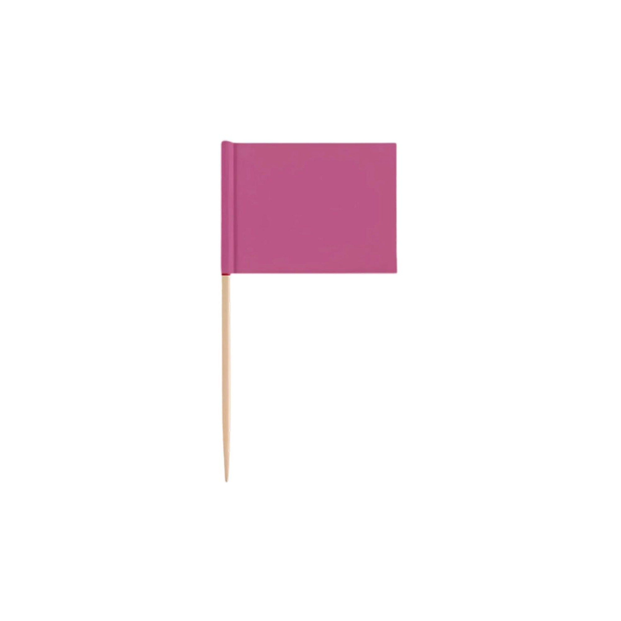 Eco-Friendly Food Decorative Flags 12