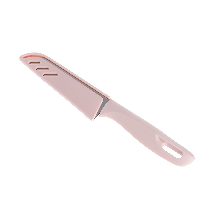 Stainless Steel Fruit Knife 1