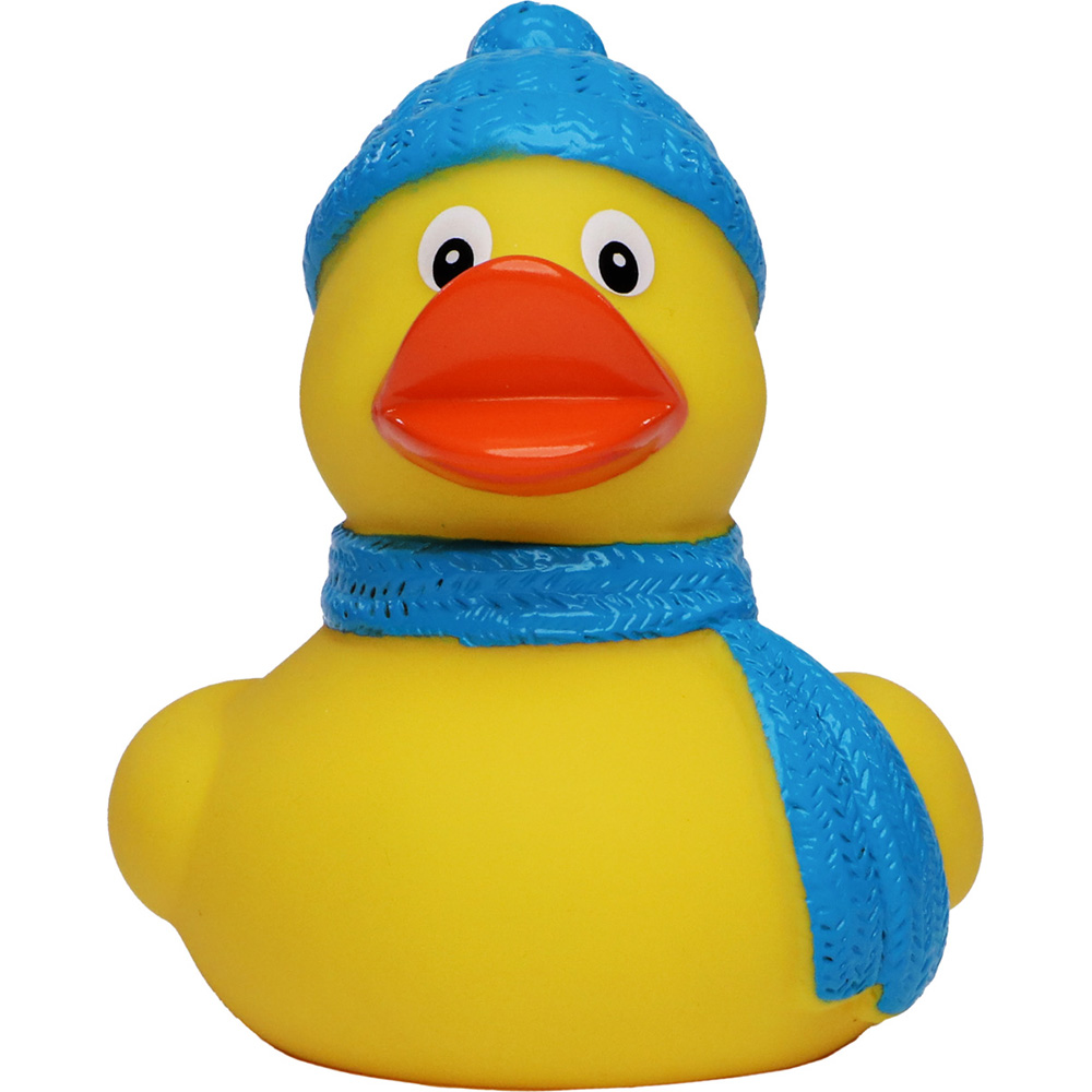 Winter Duck 4