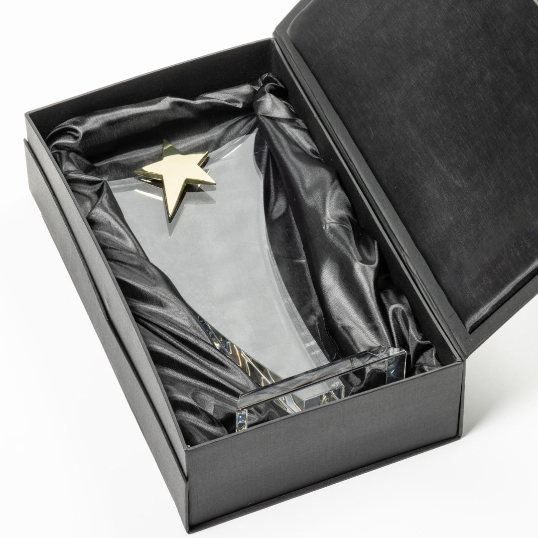Atkinson Chrome Star Award 7