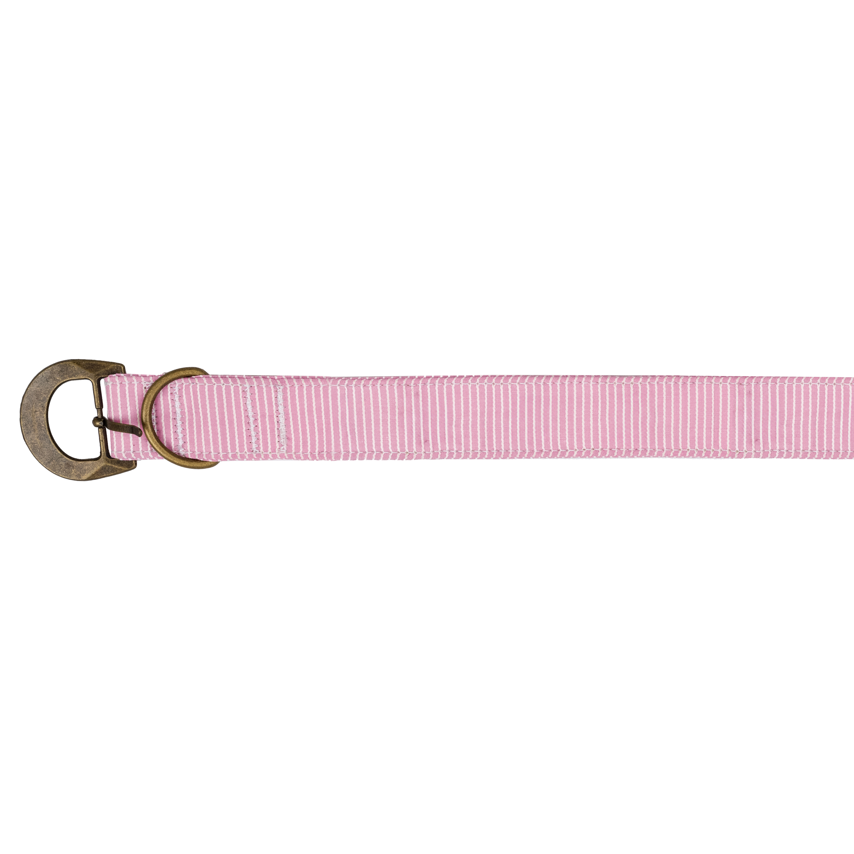 Poly Cotton Premium Large Buckle Dog Collar 20" - 26" 3