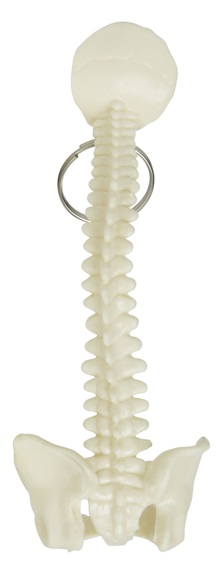 Spine Keyring 4