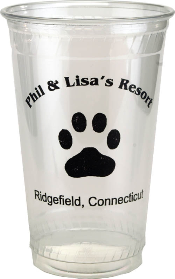 20 oz. Eco-Friendly Cup 2