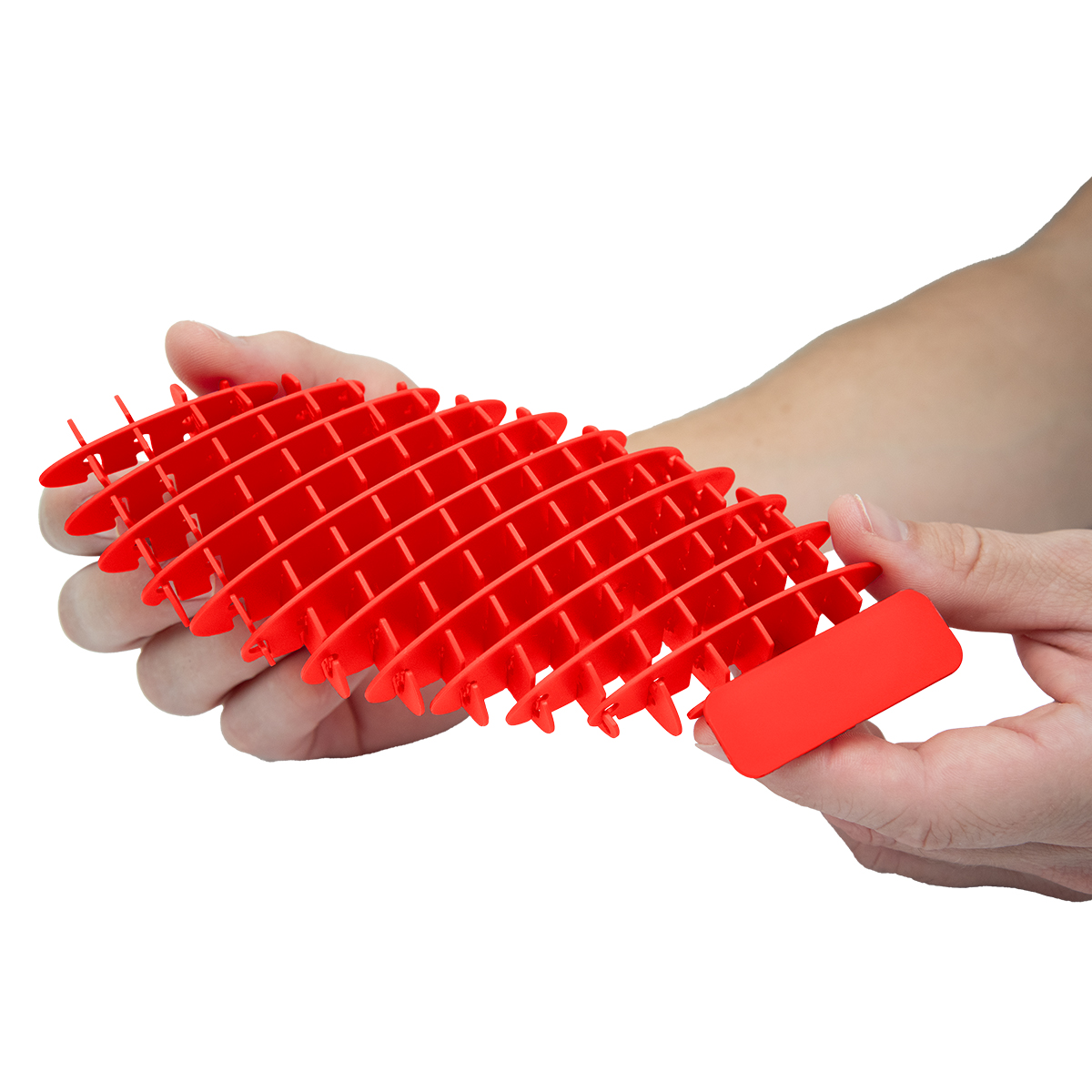 Fidget Sensory Worm 2