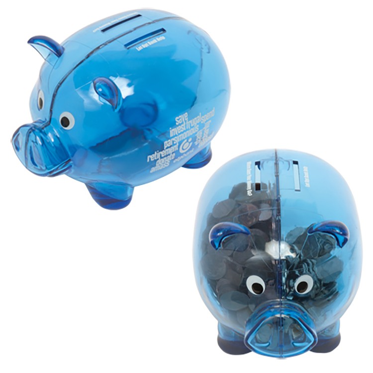 Dual Savings Piggy Bank 4