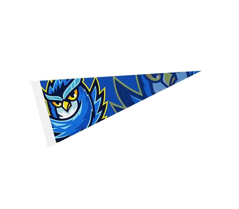 4" x 10" Full Color Felt Pennant Flag Banner with Strip 3