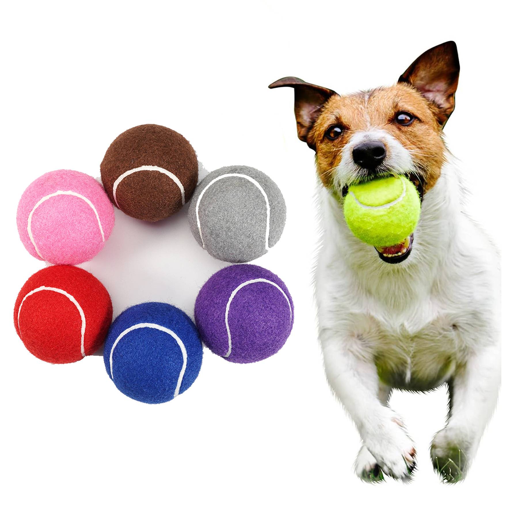 3.15inch Large pet toy tennis ball 6