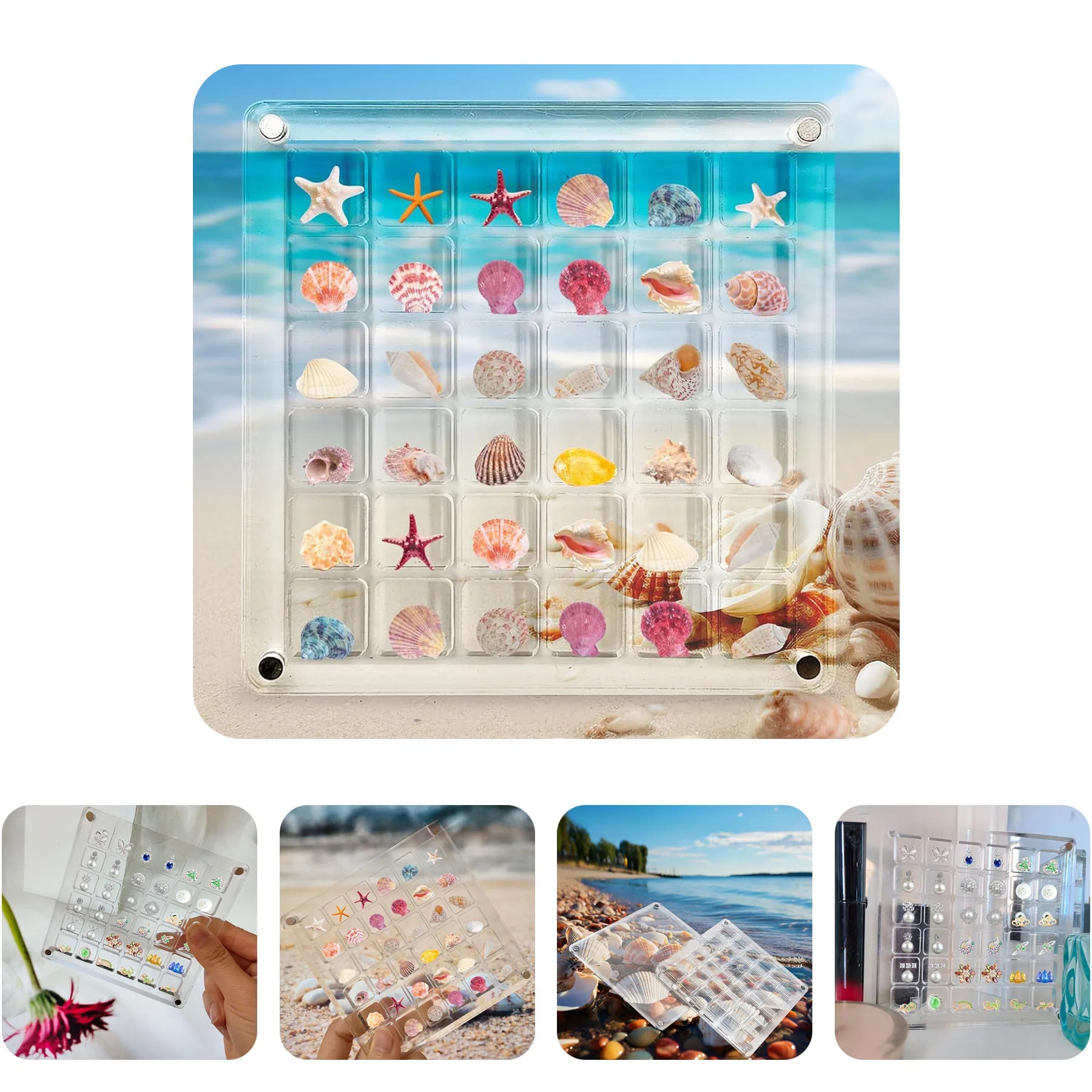Acrylic Seashell Display Box 2