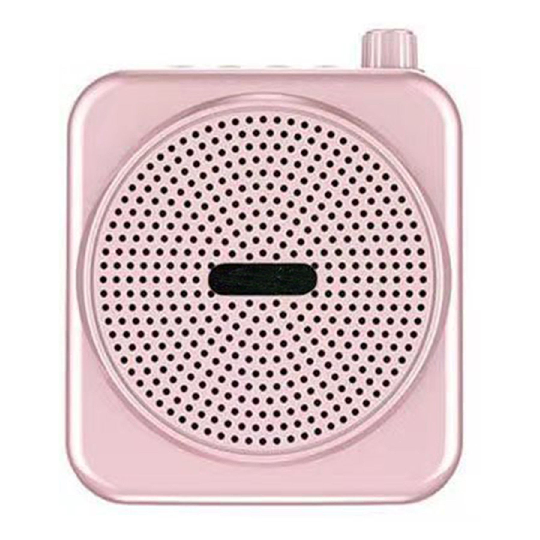 Voice Amplifier W/ Wired Microphone 2