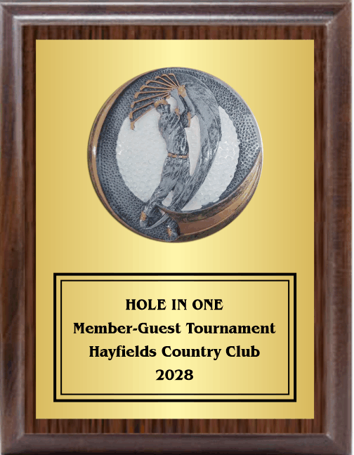 7"X9" Plaque With Full Plate And Golf Swing Plaque Mount 2