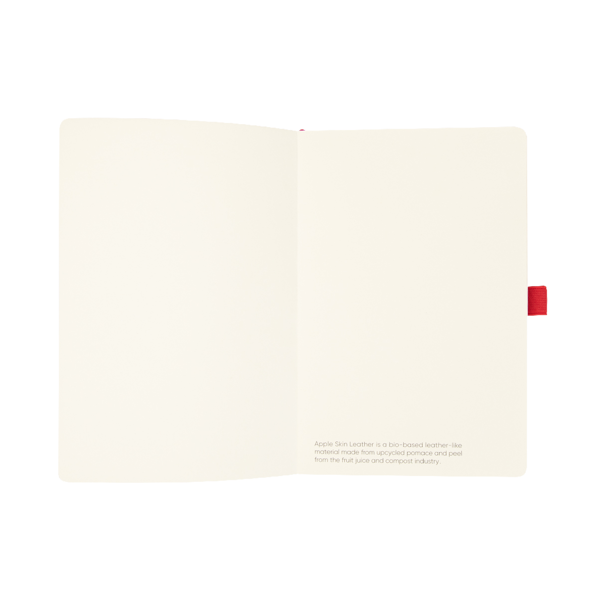 Apple Skin Journal 15