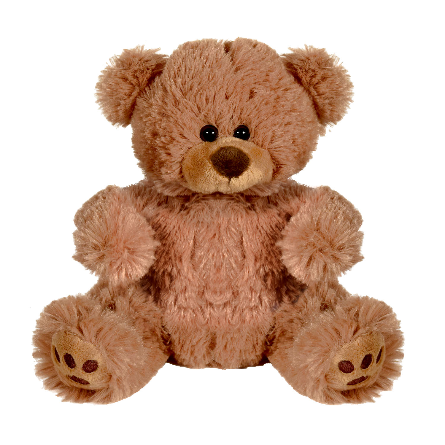 Plush Bear w/ Embroidered Paws and T-Shirt 20