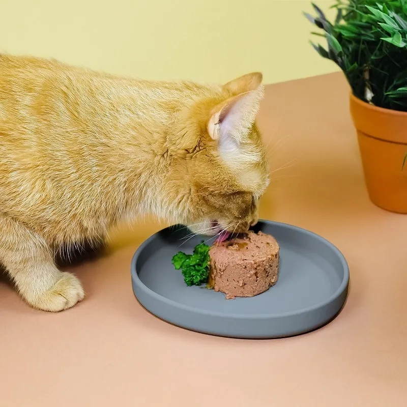 Durable Silicone Pet Feeding Bowl 5