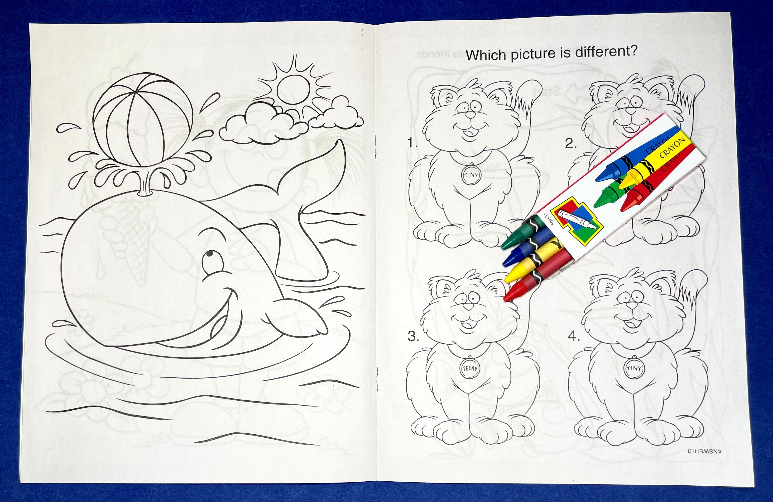 COLORING SET - Coloring Friends Coloring Book Fun Pack 6