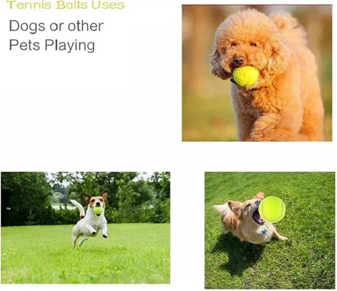 Tennis Balls for Dogs 5
