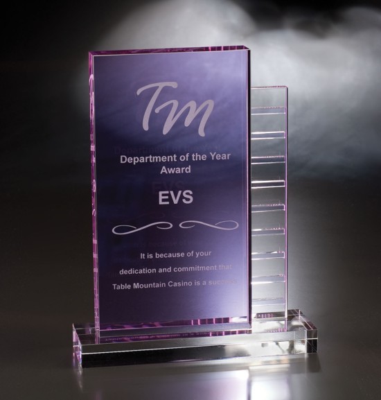 Contemporary Vistas Crystal Zona Morada Award 2