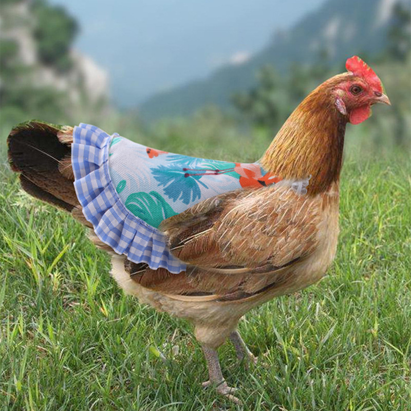 Hen Apron Chicken Saddle Hens Back Protector 3