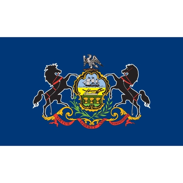 Pennsylvania Official Flag Kit 2