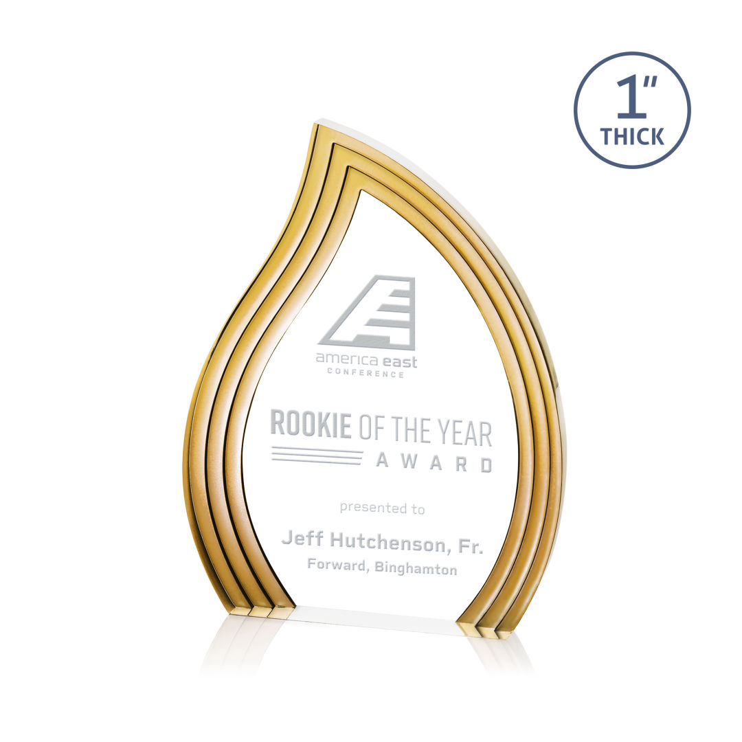 Tidworth Blaze Award - Gold 13